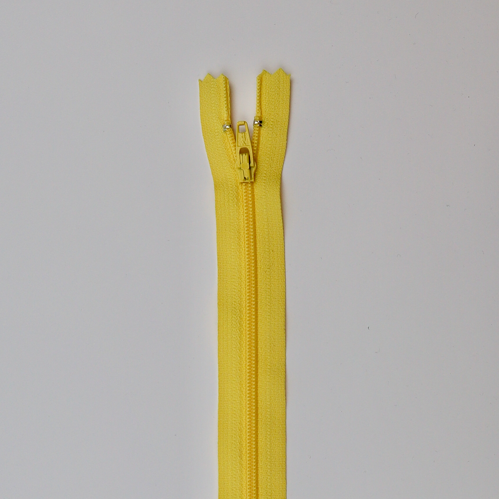 Coil Zipper / Dandelion Yellow