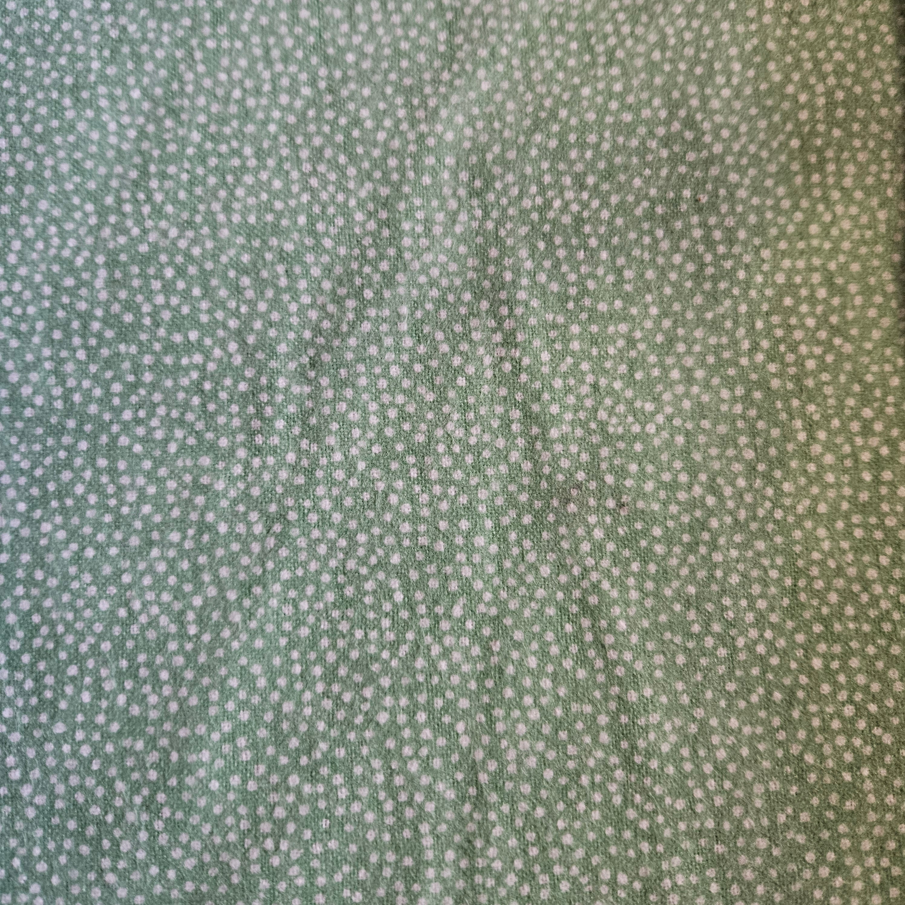 Green Dotted Cotton Flannel