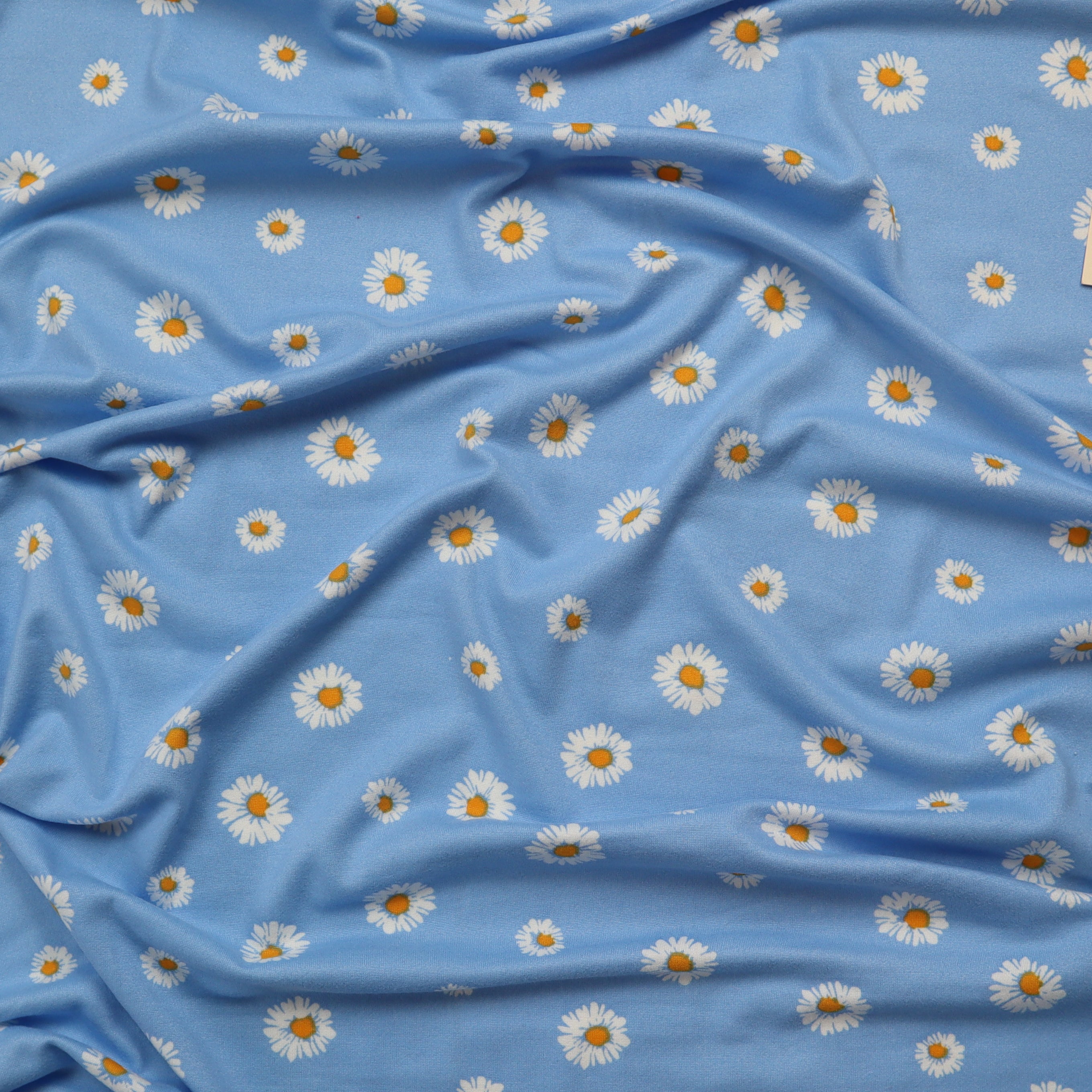 Jersey Double Brushed Daisy Print