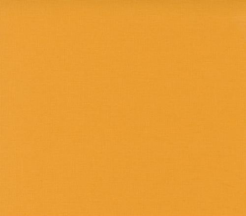 Cotton Broadcloth Solid