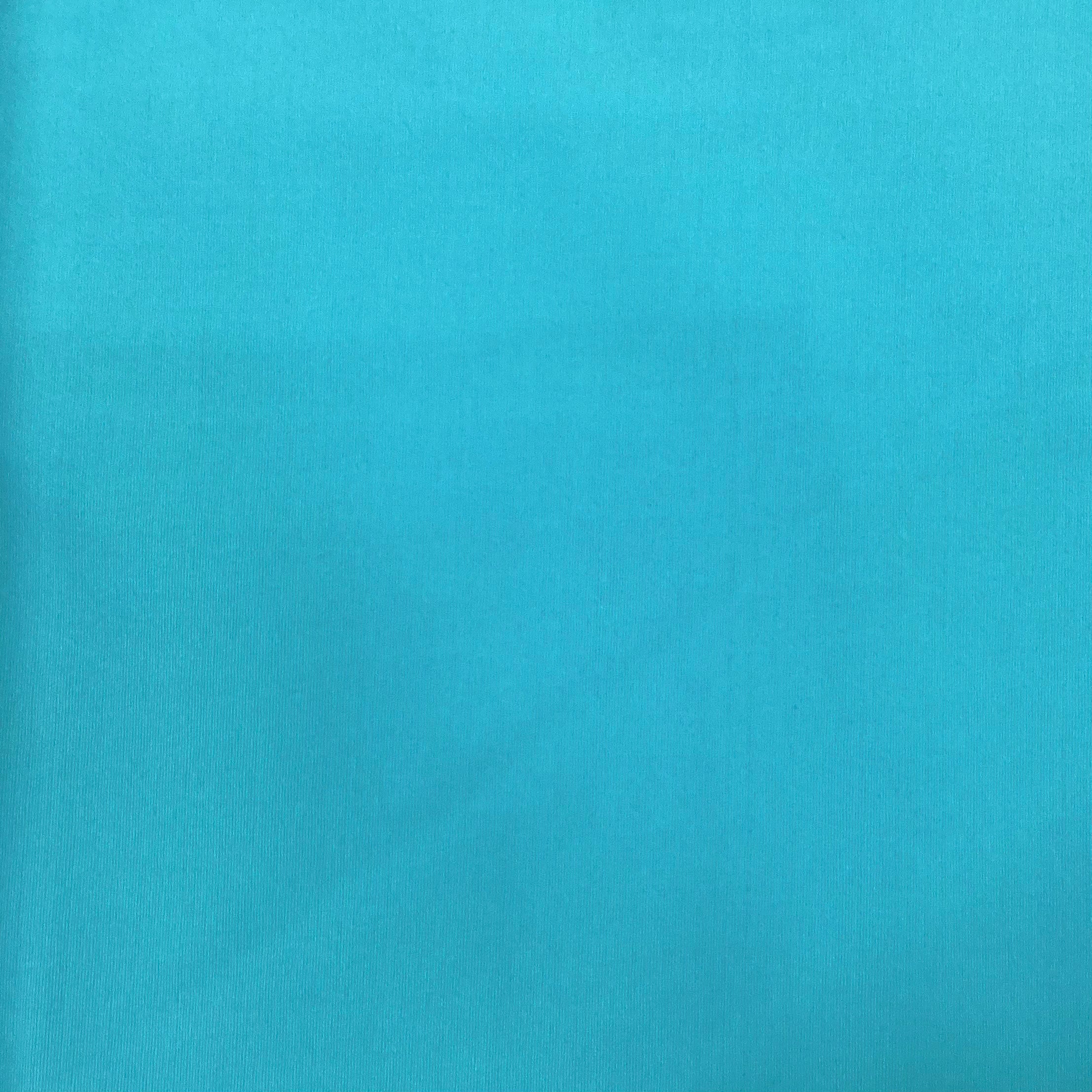 Cotton Duck Canvas Solid