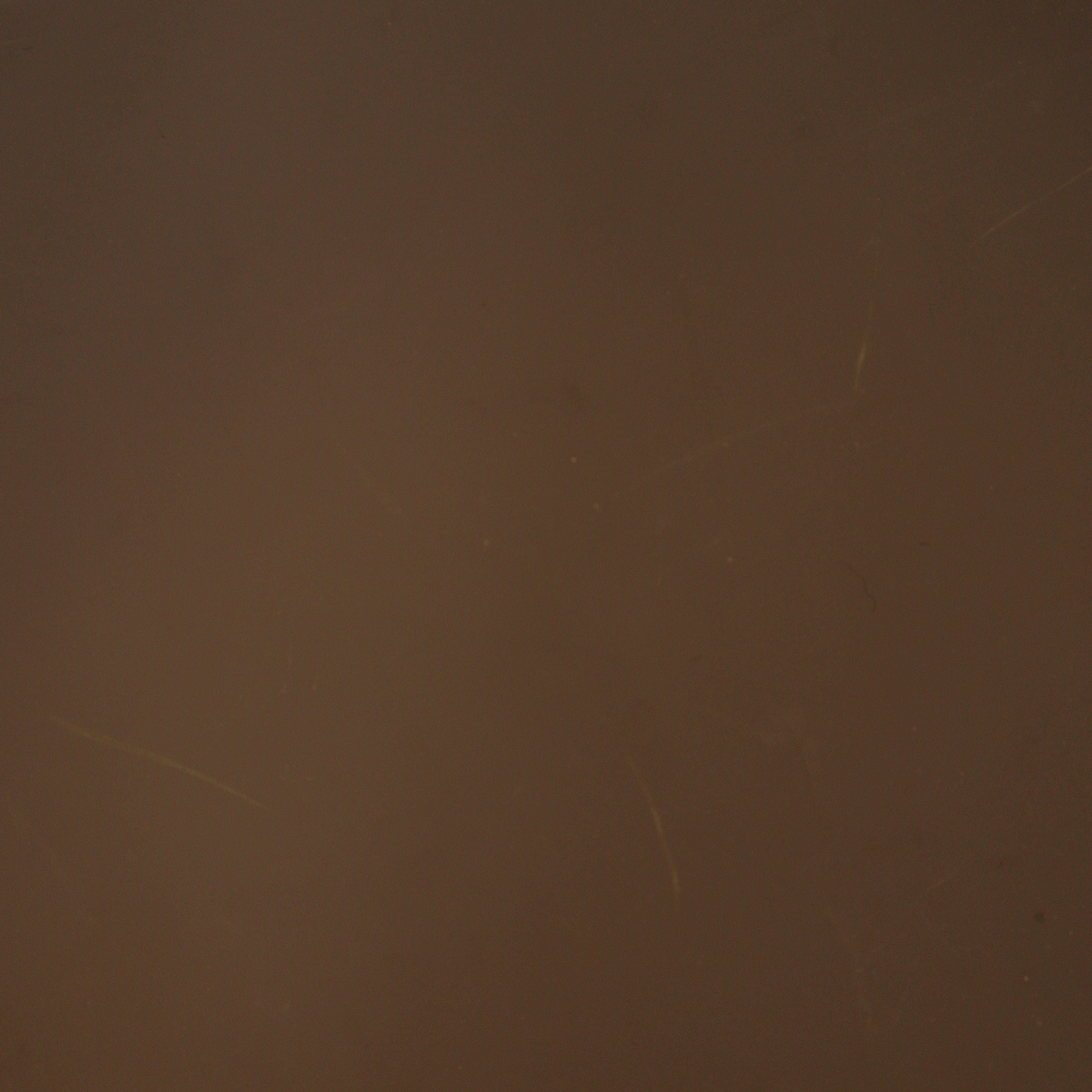 Cotton Duck Canvas Solid