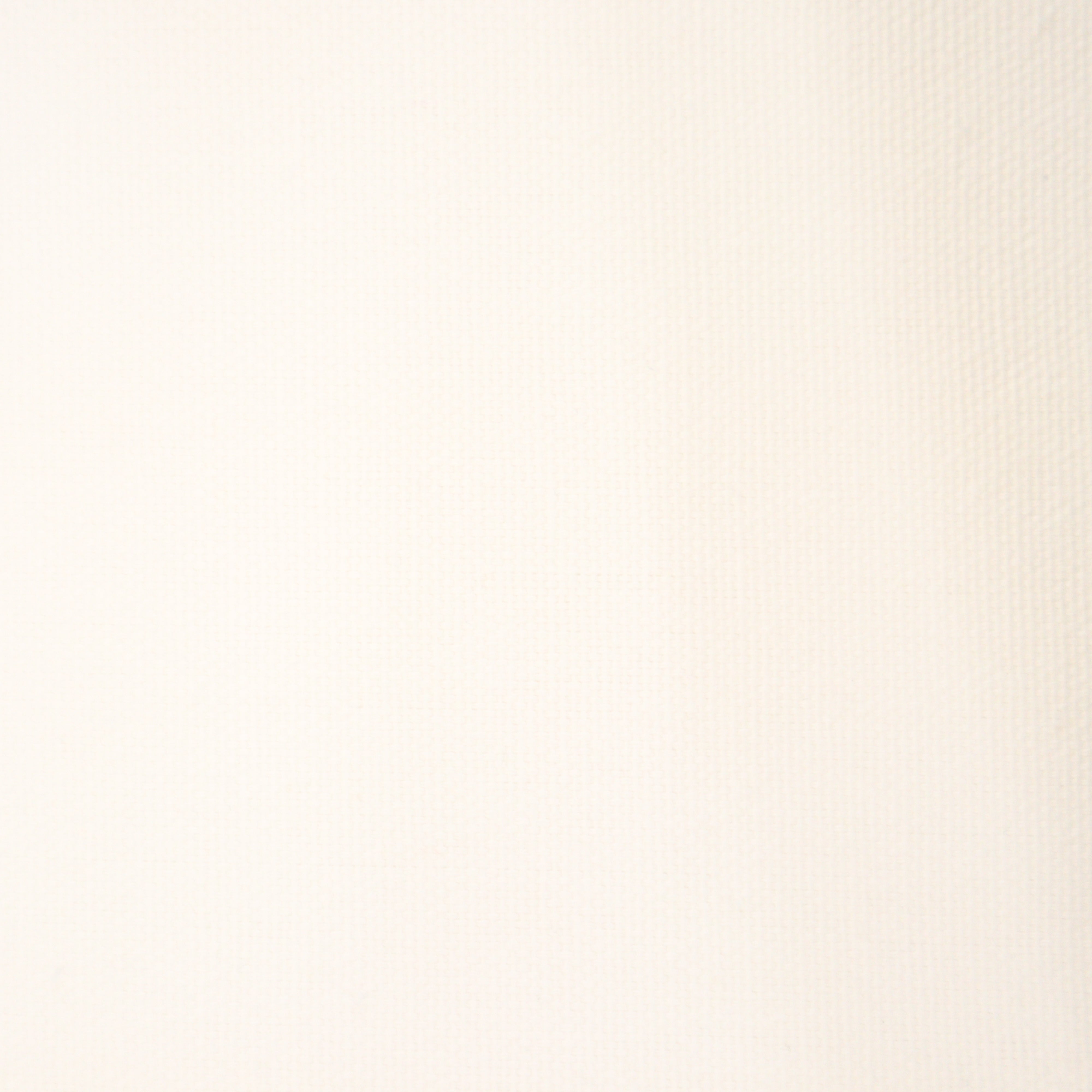 Cotton Duck Canvas Solid