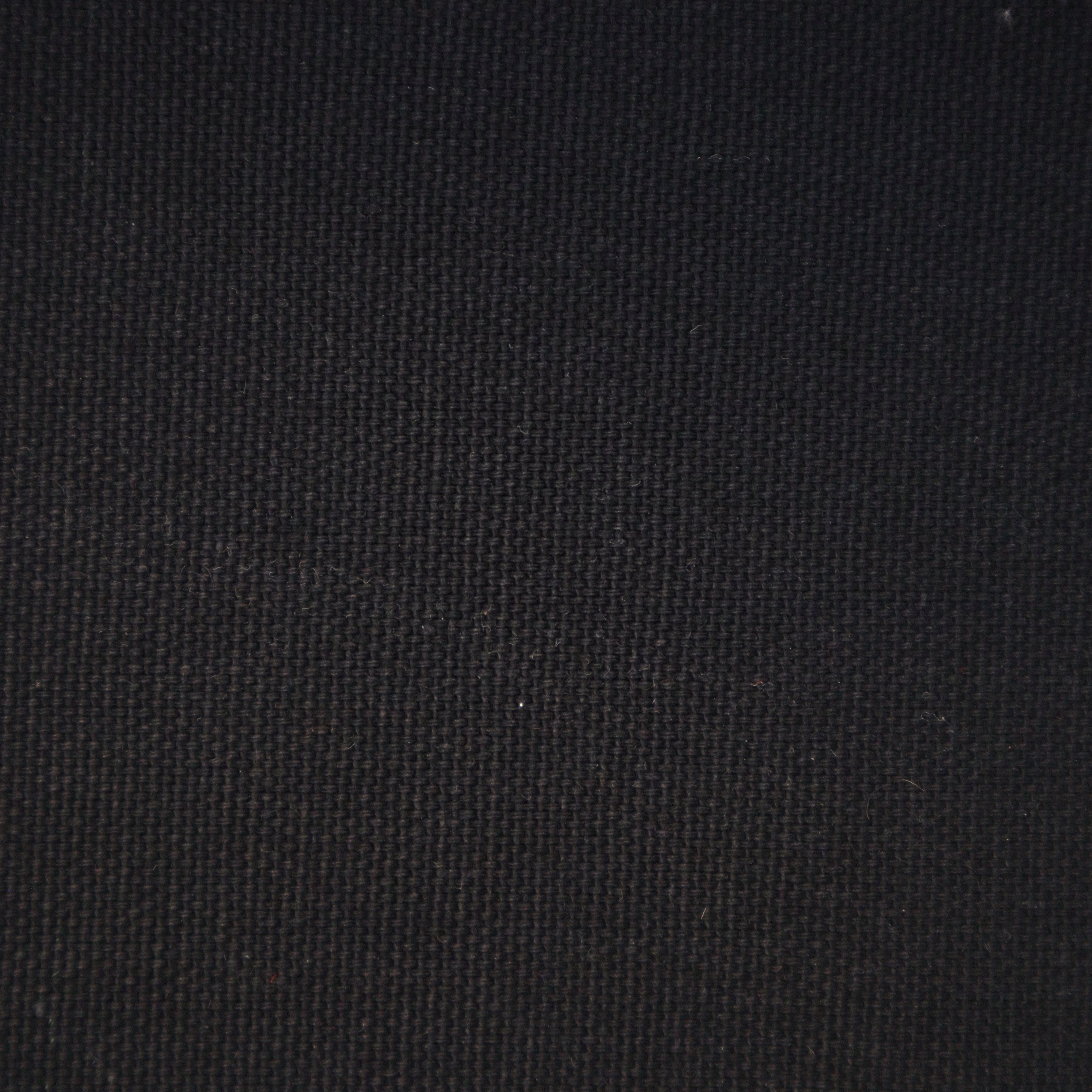 Cotton Duck Canvas Solid