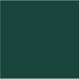 Cotton Broadcloth Solid