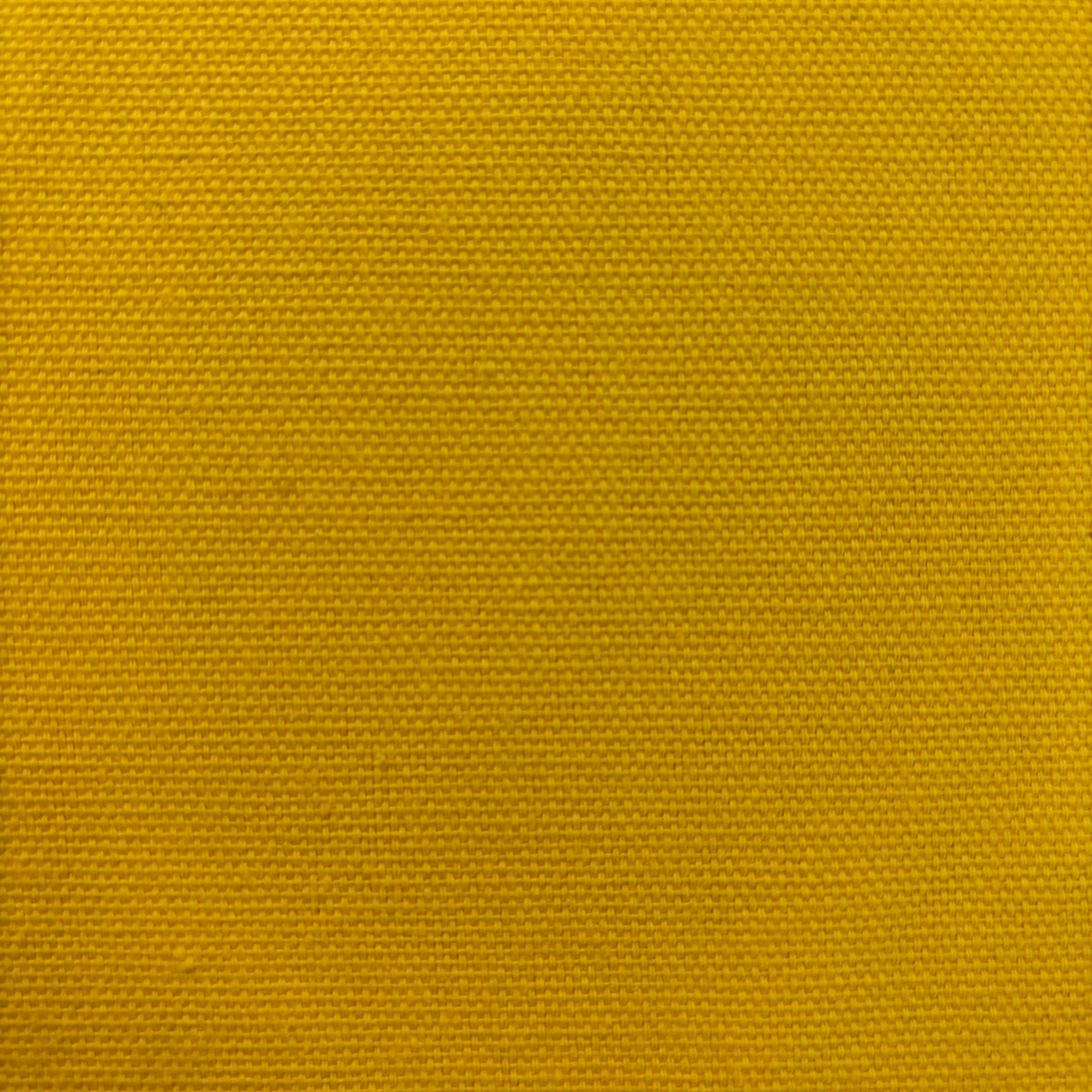 Cotton Duck Canvas Solid