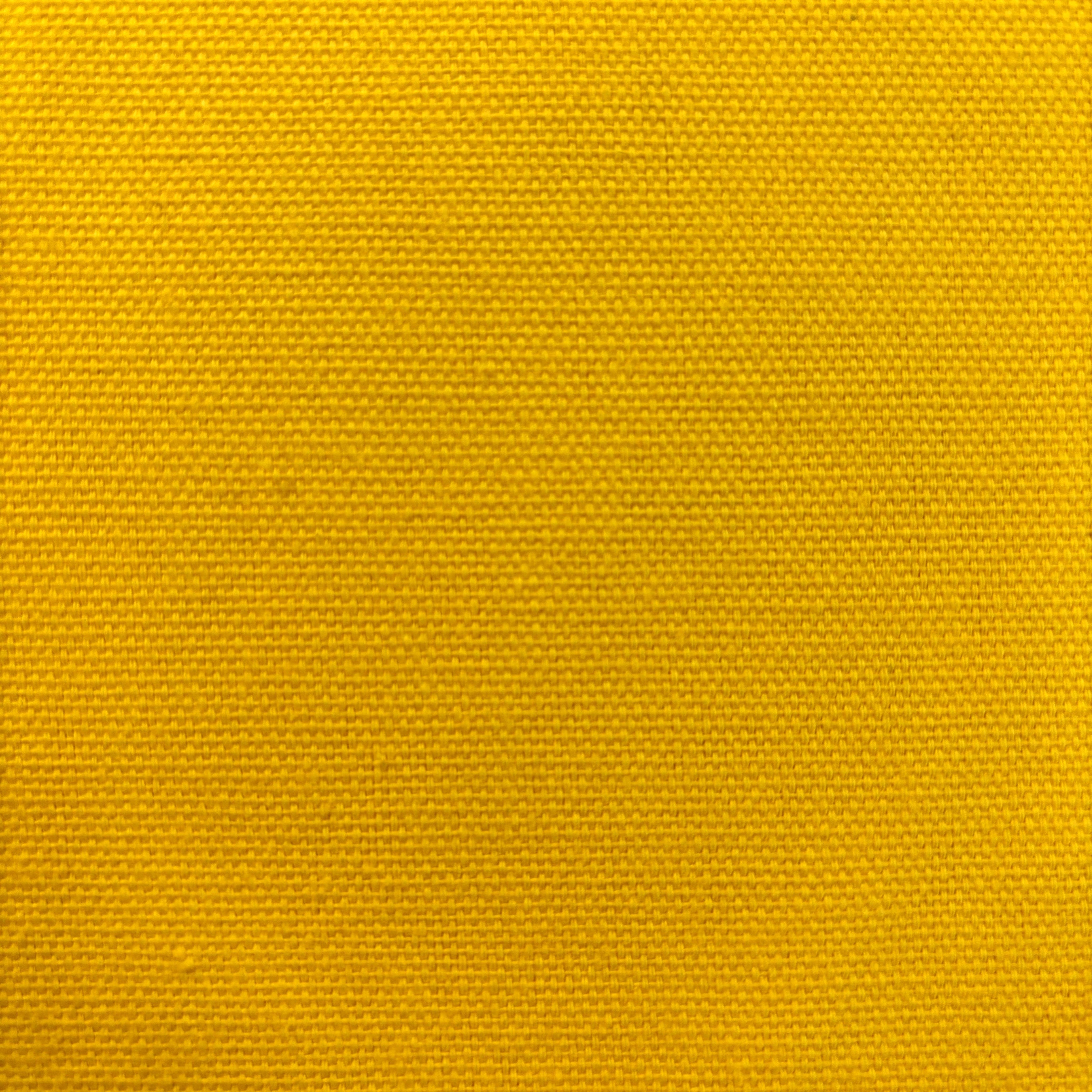 Cotton Duck Canvas Solid