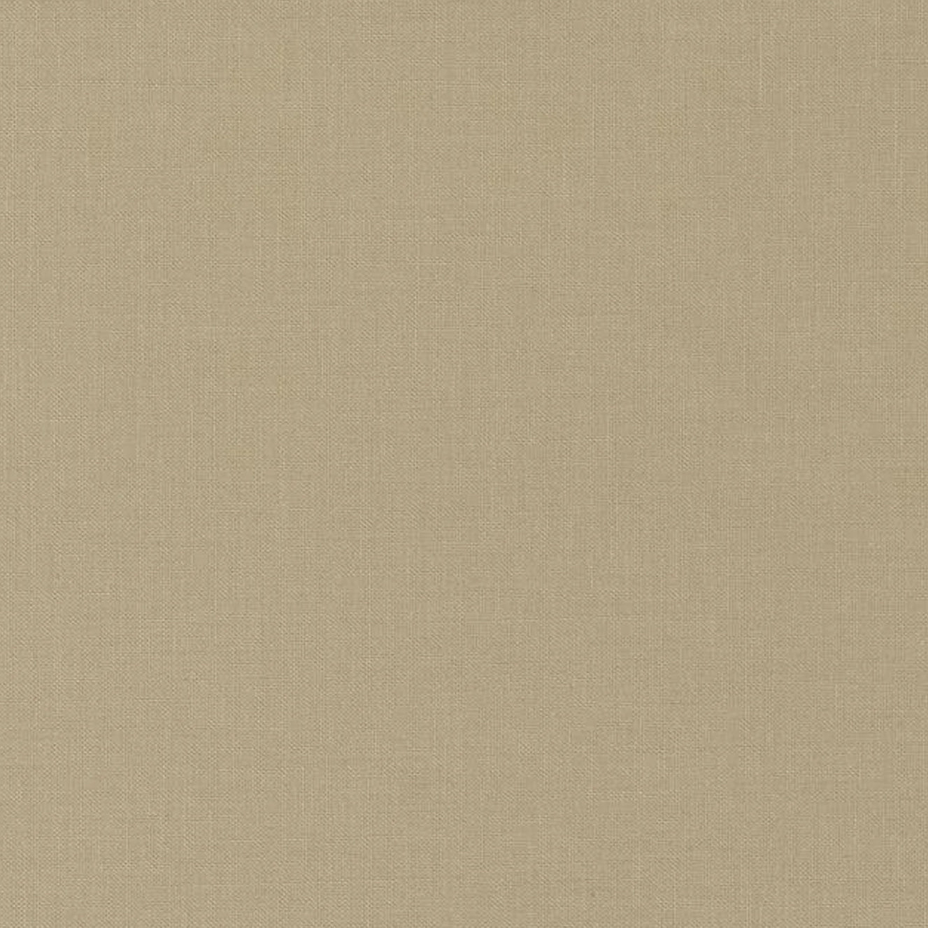 Cotton Broadcloth Solid